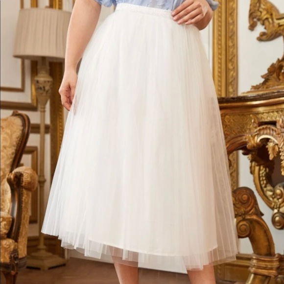 🤩host pick🤩Pleated mesh skirt - Picture 2 of 5